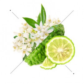 Γυναικείο άρωμα w185 10ml